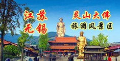 Lugouzi.top江苏无锡灵山大佛旅游风景区