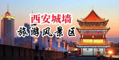 美女妣毛水多我爰日妣中国陕西-西安城墙旅游风景区