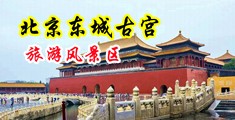 鸡巴插屄中国北京-东城古宫旅游风景区